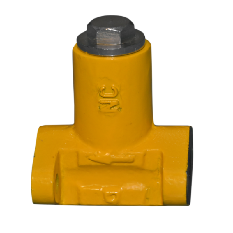 Check Valve Assyembly